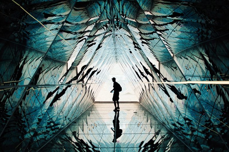 顺着看和盯着看 | C. S. Lewis-鼓腹而游