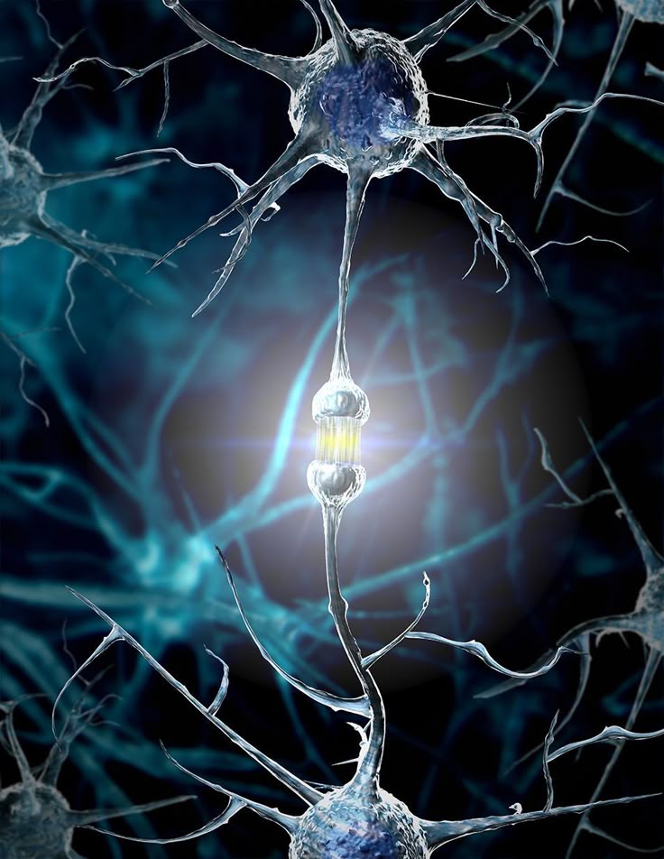 分类-Vol.85 约束是最好的效率催化剂-鼓腹而游