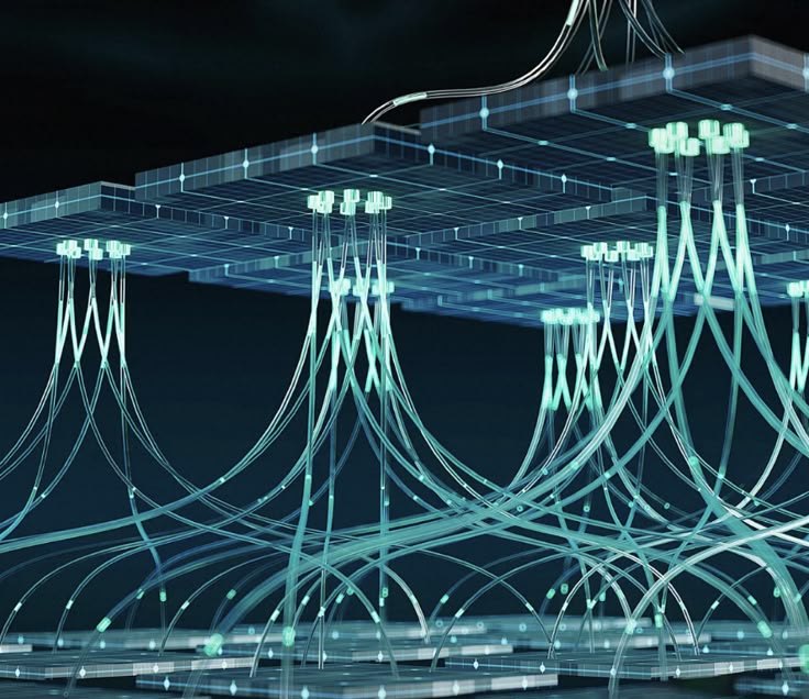 分类-Vol.88 结构决定规模-鼓腹而游