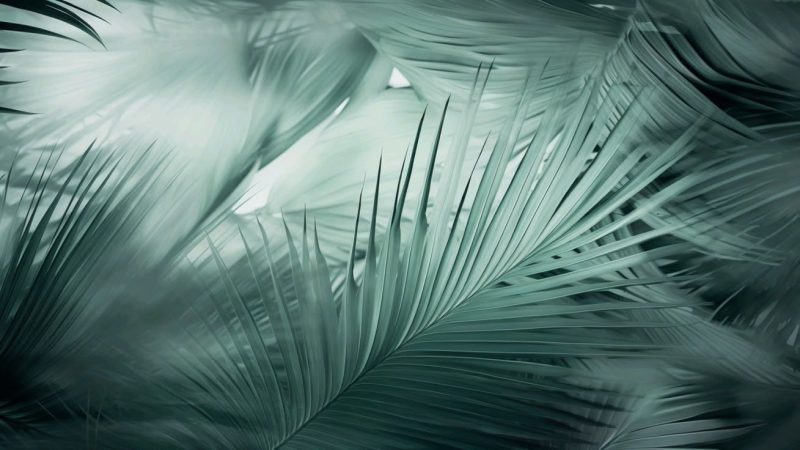 时间是唯一资源-鼓腹而游