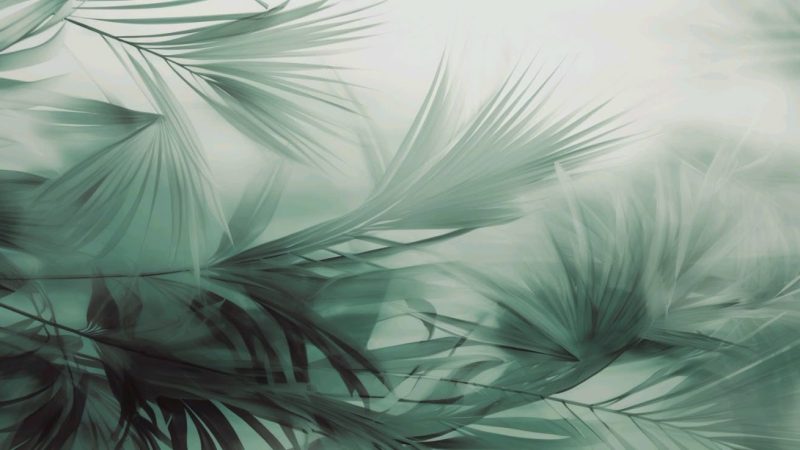 提出好问题-鼓腹而游