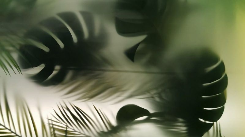 更好的工作-鼓腹而游