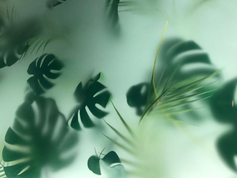 更好的生活-鼓腹而游