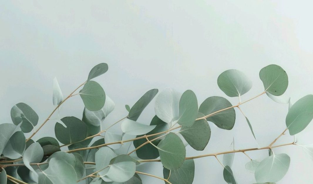 钱，我所欲也-鼓腹而游