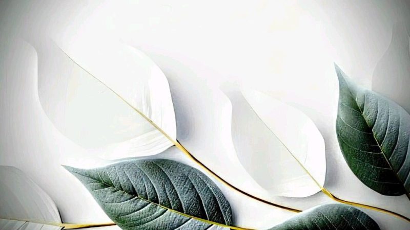 更好的亲密关系-鼓腹而游