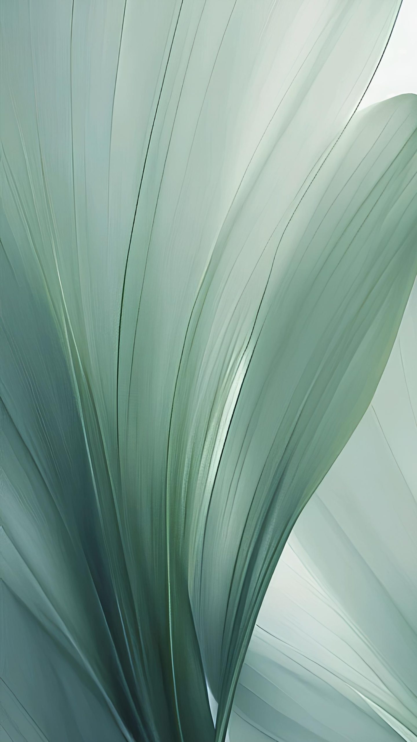 了解内心的声音--鼓腹而游