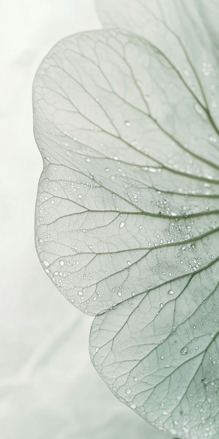 如何做个好的管理者--鼓腹而游