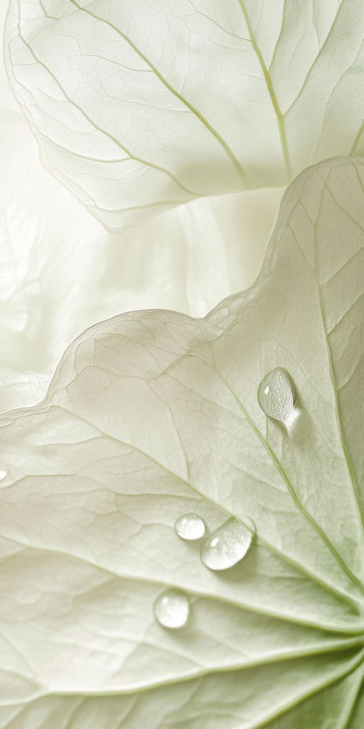 品牌不只是公司的事--鼓腹而游