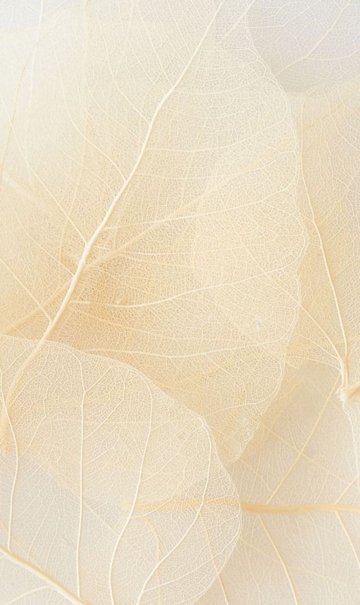 如何做出好产品--鼓腹而游