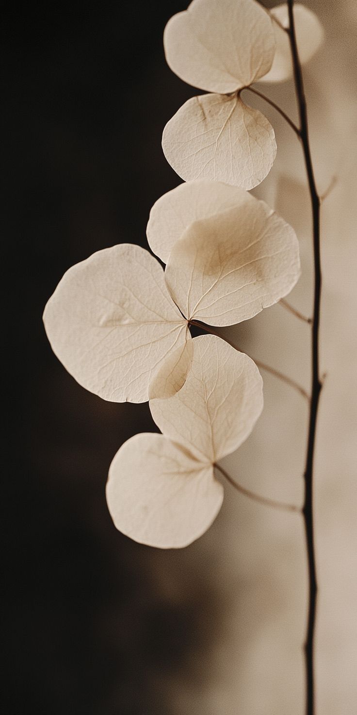 时间是唯一资源--鼓腹而游