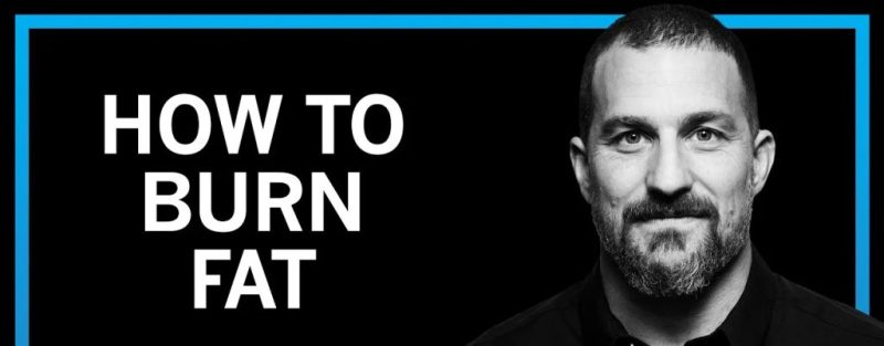 Huberman Lab：如何增肌，提升力量，并改善恢复  ｜ Andrew Huberman-鼓腹而游