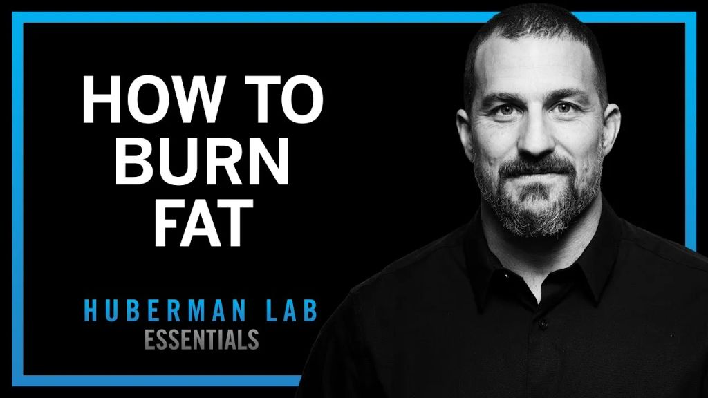 Huberman Lab：如何用科学工具提升生产力与身心健康  ｜ Andrew Huberman-鼓腹而游