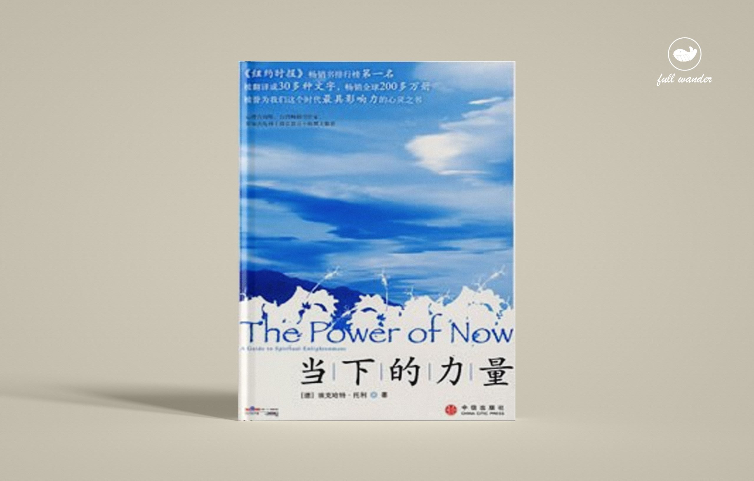 《当下的力量》    |  埃克哈特·托利（豆瓣8.4）-鼓腹而游