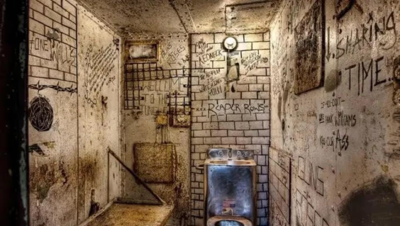 30分钟读懂高能动性   ｜ 乔治·麦克-鼓腹而游