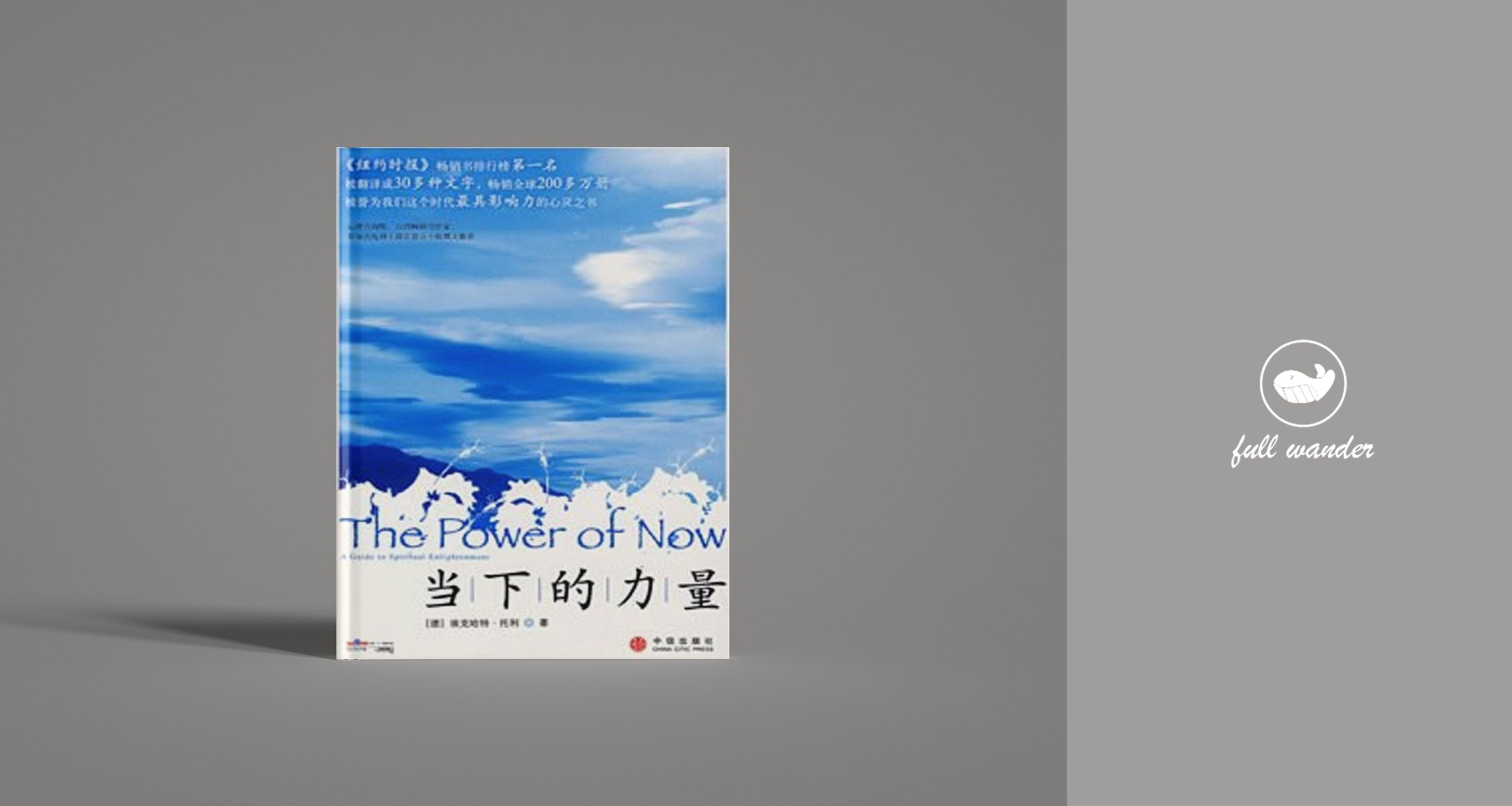 《当下的力量》    |  埃克哈特·托利（豆瓣8.4）-鼓腹而游