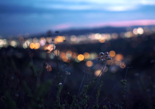 图片[1]-视听疗愈-鼓腹而游