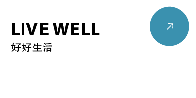 重建你的注意力小屋-鼓腹而游