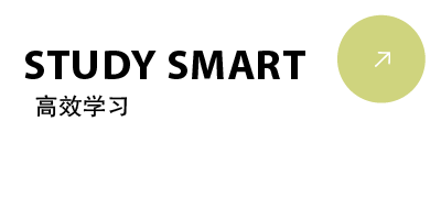 创造力不是天赋，而是一种做事方式